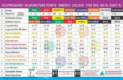 Acupressure Meridian Su - Point / Six Ki Chart Paper Print ...