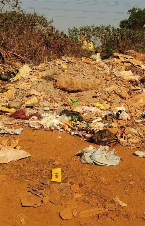 Explained: With world’s largest stray dog population, why India must ...