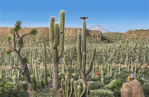 Jeannie Baker: Desert Jungle Exhibition, The Garden Gallery (enter via ...