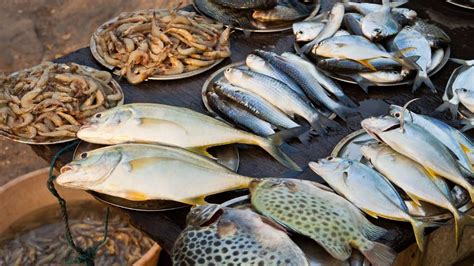 Avoid Fish In Monsoon: వర్షాకాలంలో చేపలు తినకూడదా..తింటే ఏం జరుగుతుందో ...