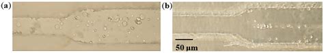 Particle Accumulation in a Microchannel and Its Reduction by a Standing ...