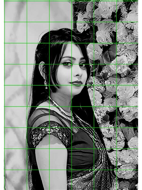 Image result for Drawing Grid Maker Download