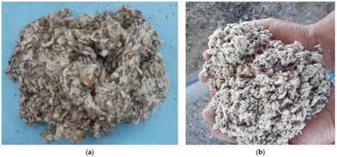 Effect of Cotton Gin Trash Supplementation as Unconventional Feedstuff ...