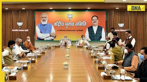 DNA Explainer: As BJP drops Gadkari, Shivraj from Parliamentary Board ...