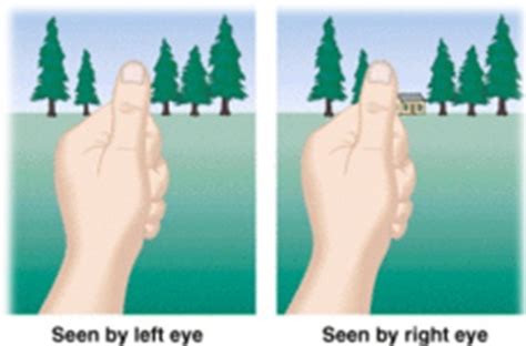 Depth Perception 的图像结果