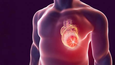 Ultra-processed food consumption increases inflammation and heart disease risk | News Minimalist