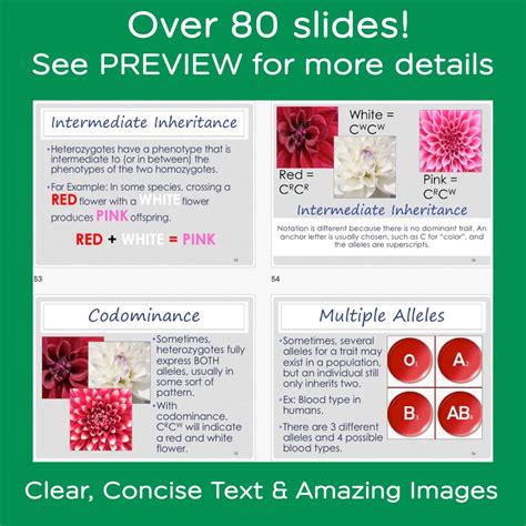 Image result for Inheritance Topic