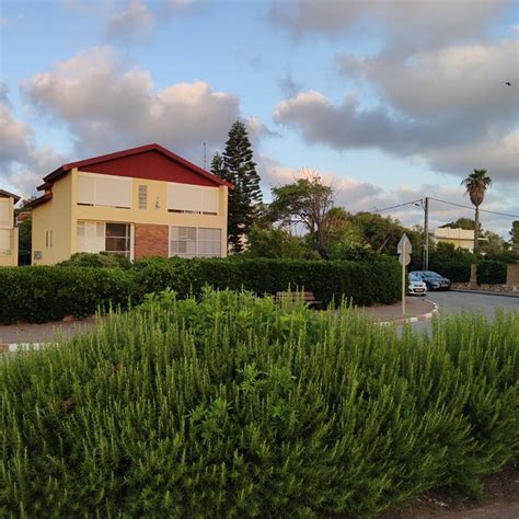 O-LIVE DOLPHIN VILLAGE (Shavei Tzion) - B&B Reviews & Photos - Tripadvisor