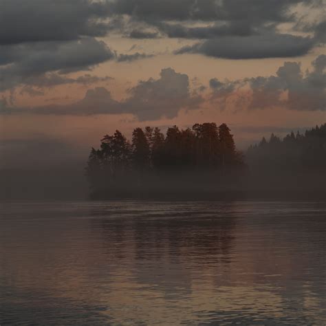 Download wallpaper 2780x2780 forest, trees, fog, lake, twilight ...