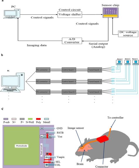 Image result for Calman Remote Neural Monitoring