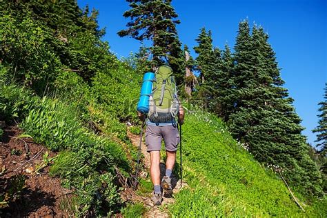 Image result for 必应徒步