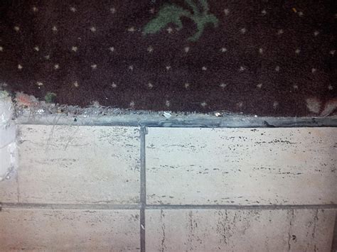 SANTA ANA TRAVEL INN (CA - Orange County) - Motel Reviews, Photos, Rate ...