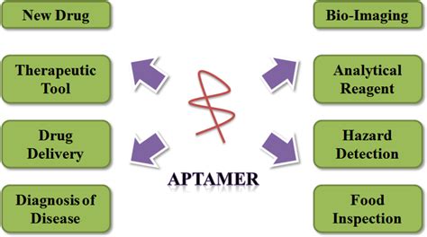 Aptamers and Their Biological Applications