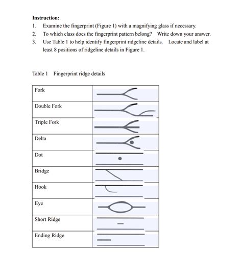 Image result for Fingerprint Patterns Worksheet