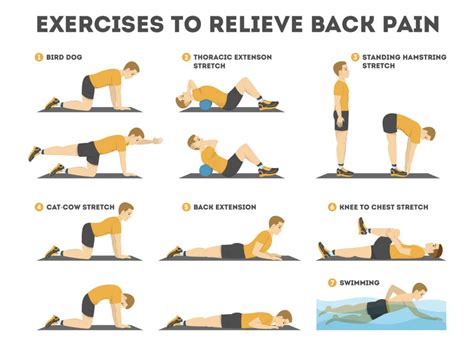 Image result for Lower Back Pain Exercise