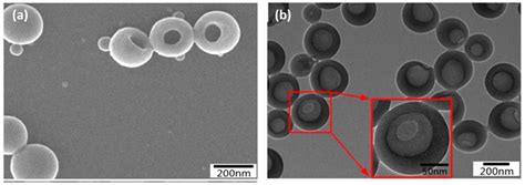 Lignin-Based Porous Biomaterials for Medical and Pharmaceutical ...