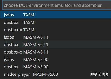 Masm DOSBox 的图像结果