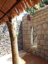 ZooLex Exhibit - Ocelot Temple