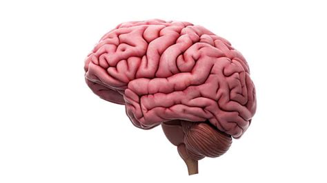 Stroke: Doctor explains warning signs, emergency steps, and life-saving ...