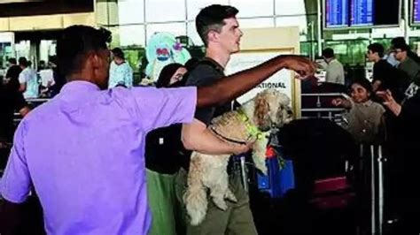 No chaos at major airports as other ground handlers step in