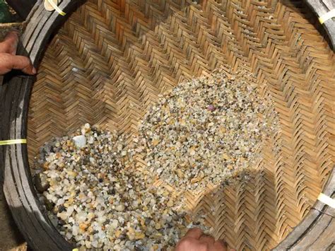 Gold rush - Cyclon Nivar causes a gold rush in Andhra Pradesh's Uppada ...