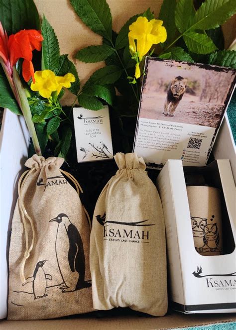 Get Eco-Friendly Adaptor Box at ₹ 1370 | LBB Shop