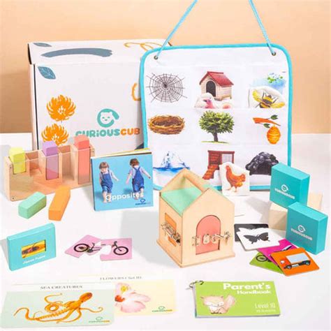 Curious Cub Montessori Box- 21 Months (Level- 10) – The Write Stuff