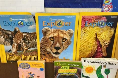 Image result for Text Box Text Feature