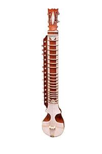 Lydian ESRAJ The Musical Instrument : Amazon.in: Musical Instruments