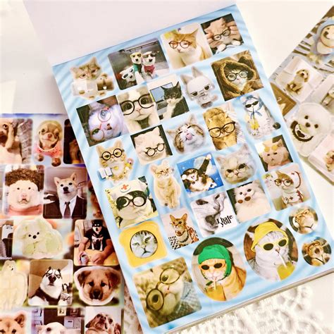 Furry Funnies Cute Cat & Dog Sticker Book 800+ Hilarious Stickers for ...