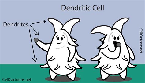 Image result for Cell Adaptation Cartoon