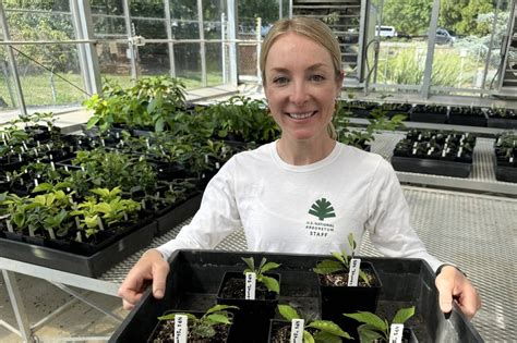 Image result for Stumpy Tidal Basin