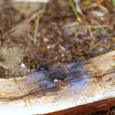 16 Wildcamping-Ideen | wildcamping, camping, camping frankreich