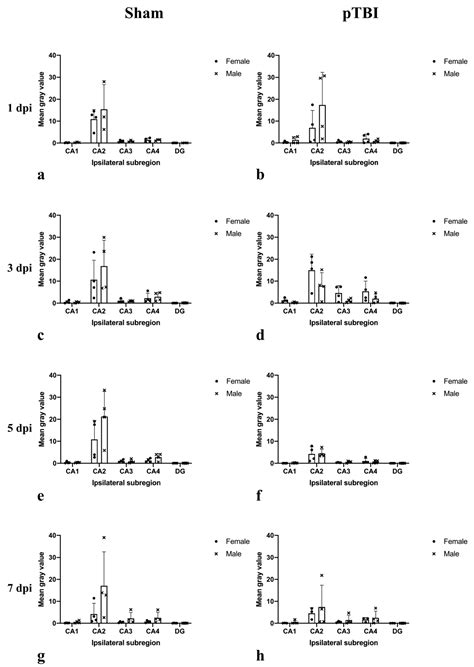 Hippocampal Expression of Cytochrome P450 1B1 in Penetrating Traumatic ...