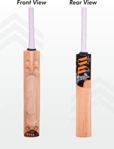 Willow master MASTER 100 WM Kashmir Willow Cricket Bat For 15+ Yrs ...