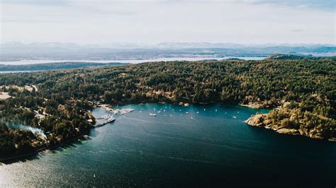 203 2910 Cook St in Victoria: Vi Mayfair Condo for sale : MLS®# 976368