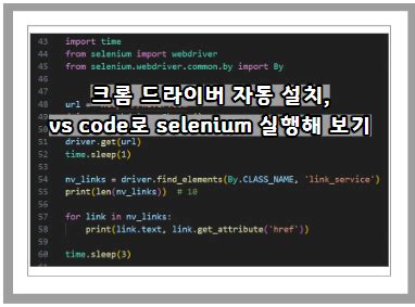 Selenium vs Code 的图像结果