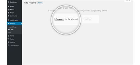 Image result for Wp Script