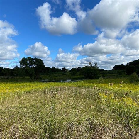 West Lake Preserve (Chelsea) - All You Need to Know BEFORE You Go