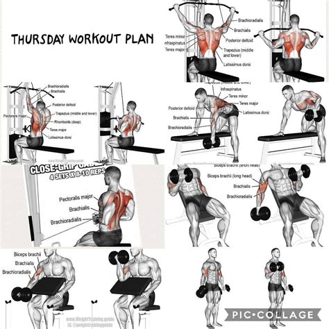 BACK/ BICEPS Workout for Thursday: Wide grid pull- downs Seated ...