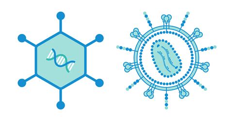 Gene Vector 的图像结果