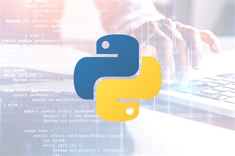 Image result for Python Programmer