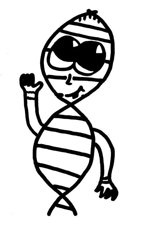 DNA Model Drawing 的图像结果