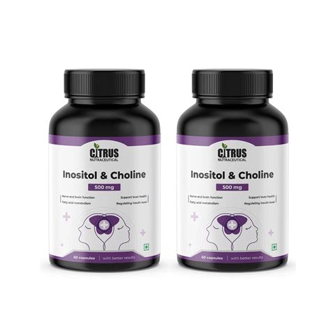 CITRUS NUTRACEUTICAL Inositol & Choline 500 mg | For Brain & Nerve ...