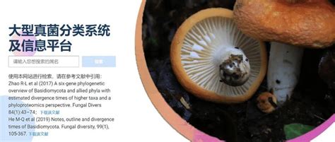 世界大型真菌分类系统及信息平台上线_nmdc_中国科学院_真核生物