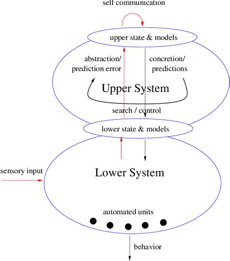 Local Rationality Understanding 的图像结果