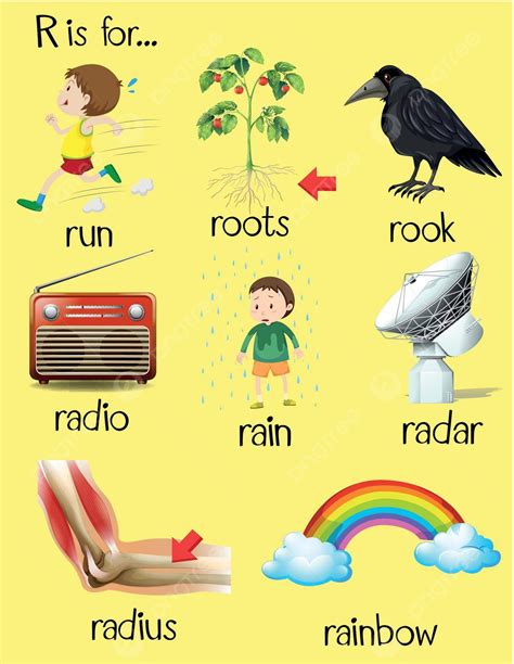 Many Words Begin With Alphabet R Card Image Background Vector, Card ...