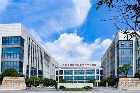 中国教育部：海外学历学位造假将被公示