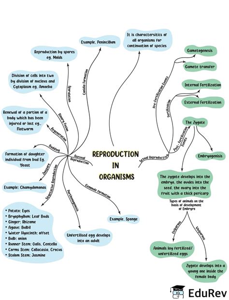 Mindmap: Reproduction in Organisms (Old NCERT) - Biology Class 12 ...