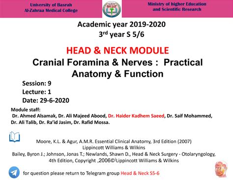 S9-L1 - Cranial foramina and nerves - University of Basrah Al-Zahraa ...